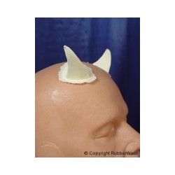 Horns