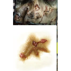 Zombie nose