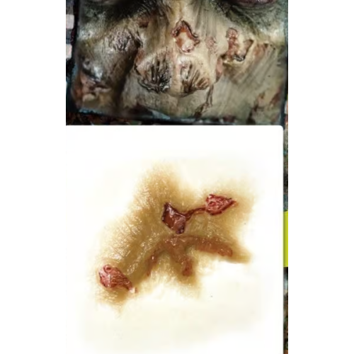 Zombie nose