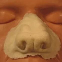 Wolf Nose