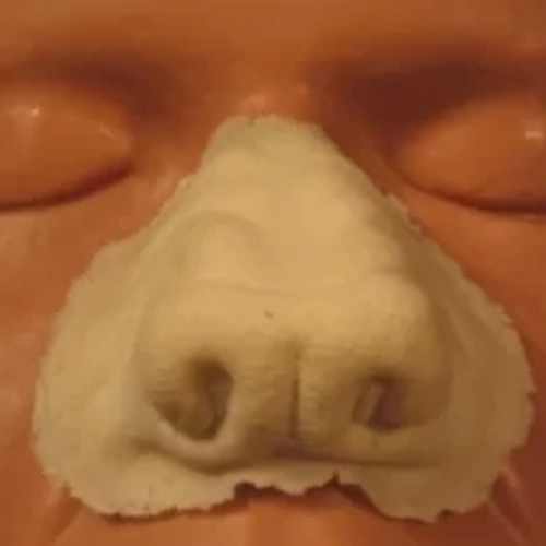 Wolf Nose