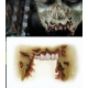 Missing Jaw (1/2)