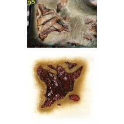 Zombie flesh decay