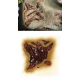 Zombie flesh decay (1/2)